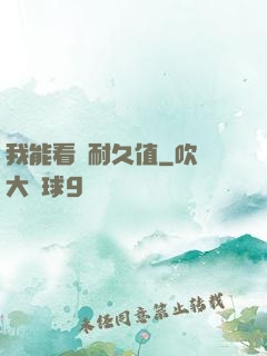 我能看見耐久值