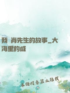 我與肖先生的故事