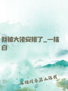 我被大佬安排了