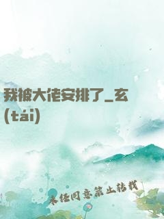 我被大佬安排了
