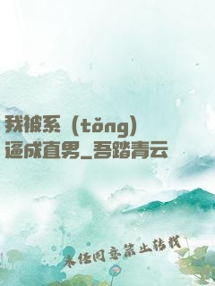 我被系統(tǒng)逼成直男