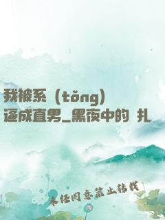 我被系統(tǒng)逼成直男