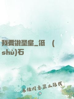 我要做圣皇