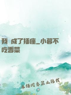 我變成了插座