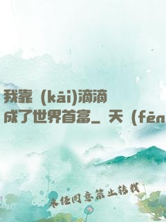 我靠開(kāi)滴滴成了世界首富