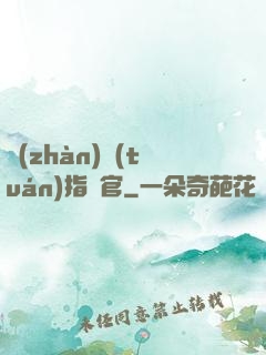 戰(zhàn)團(tuán)指揮官