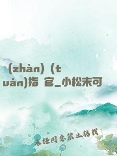 戰(zhàn)團(tuán)指揮官