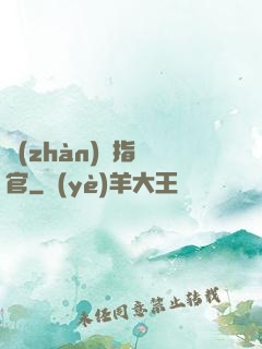 戰(zhàn)團指揮官