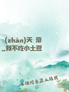 戰(zhàn)天龍帝