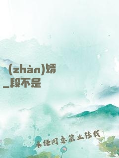 戰(zhàn)婿歸來