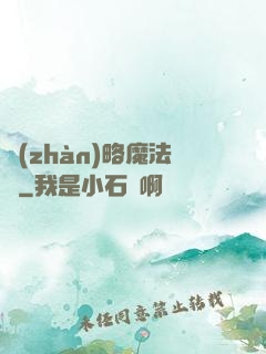 戰(zhàn)略魔法師