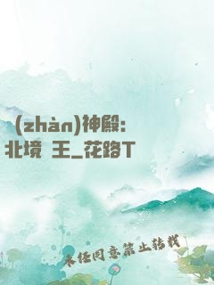 戰(zhàn)神殿：北境龍王