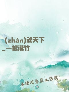 戰(zhàn)魂天下