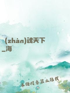 戰(zhàn)魂天下
