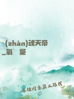 戰(zhàn)魂天帝