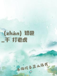 戰(zhàn)龍奶爸