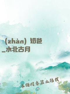 戰(zhàn)龍奶爸