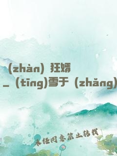 戰(zhàn)龍狂婿