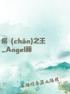 房產(chǎn)之王