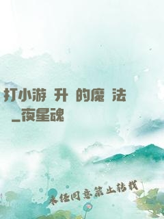 打小游戲升級的魔劍法師
