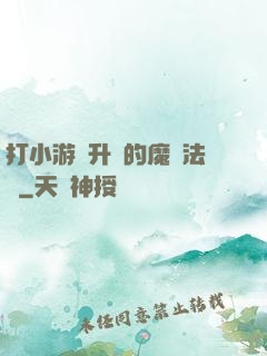 打小游戲升級的魔劍法師