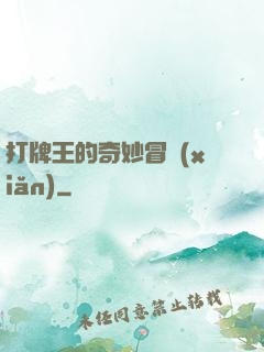 打牌王的奇妙冒險(xiǎn)