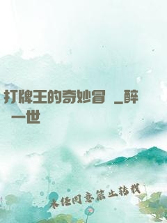 打牌王的奇妙冒險
