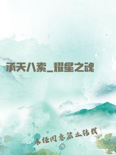承天八索