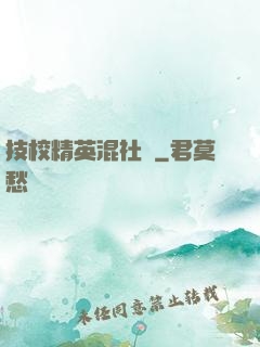 技校精英混社會