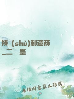 技術(shù)制造商