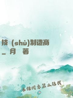 技術(shù)制造商