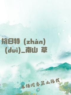 抗日特戰(zhàn)隊(duì)
