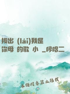 拔出來(lái)我是你母親的歌詞小說