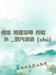 拔出來我是你母親的歌詞小說