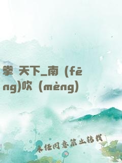 拳傾天下