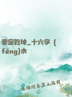 拳定乾坤