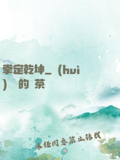 拳定乾坤