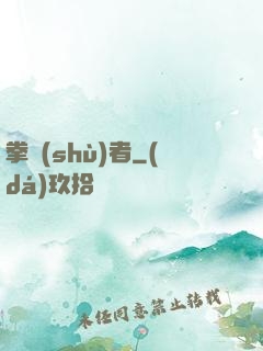拳術(shù)者