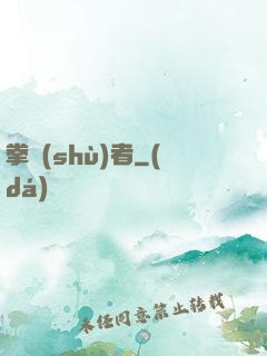 拳術(shù)者