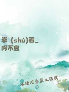 拳術(shù)者