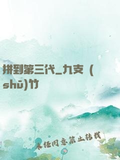 拼到第三代