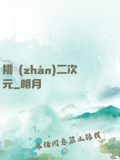 挑戰(zhàn)二次元