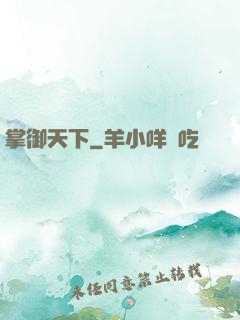 掌御天下