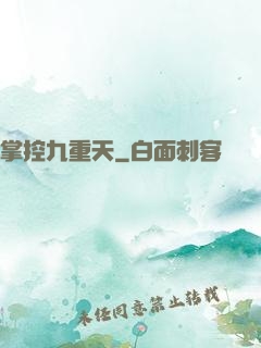 掌控九重天
