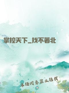 掌控天下