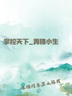 掌控天下