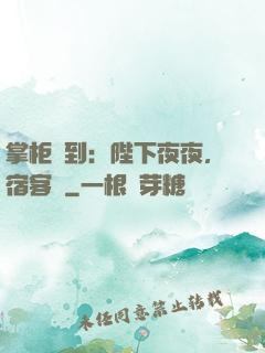 掌柜駕到：陛下夜夜，宿客棧