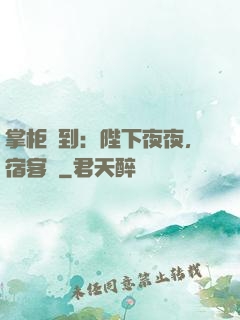 掌柜駕到：陛下夜夜，宿客棧