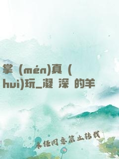 掌門(mén)真會(huì)玩