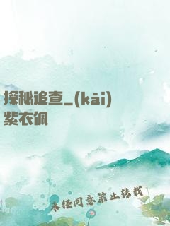 探秘追查